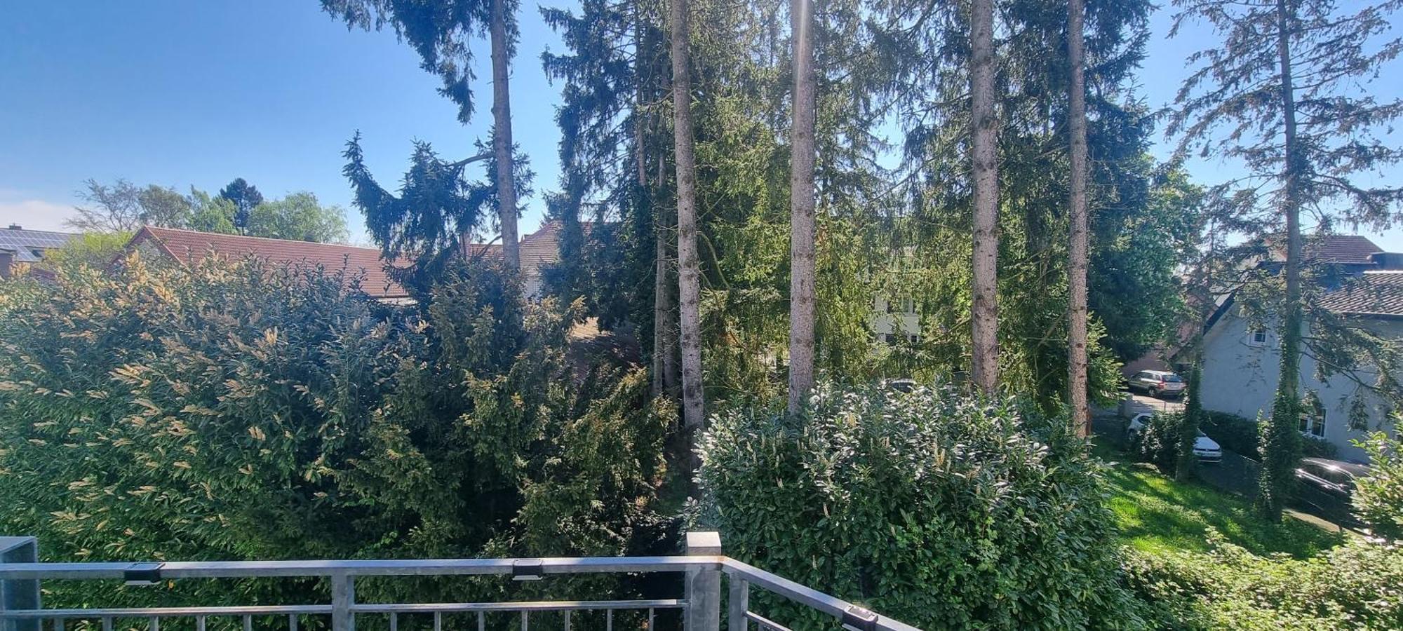 Ferienwohnung Am Kurwald In Bad Lippspringe Luaran gambar